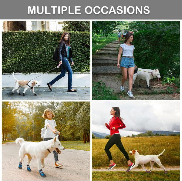 Summer Dog Boots 4pc Dog Shoes