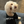 Load image into Gallery viewer, Essentials Fear of Dog Hoodie Pet Sweater