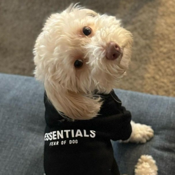Essentials Fear of Dog Hoodie Pet Sweater