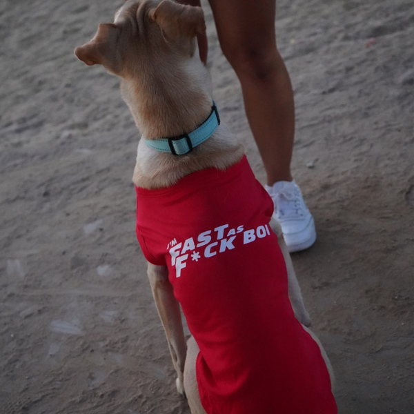 I'm Fast AF Dog Shirt Fast And Furious Parody