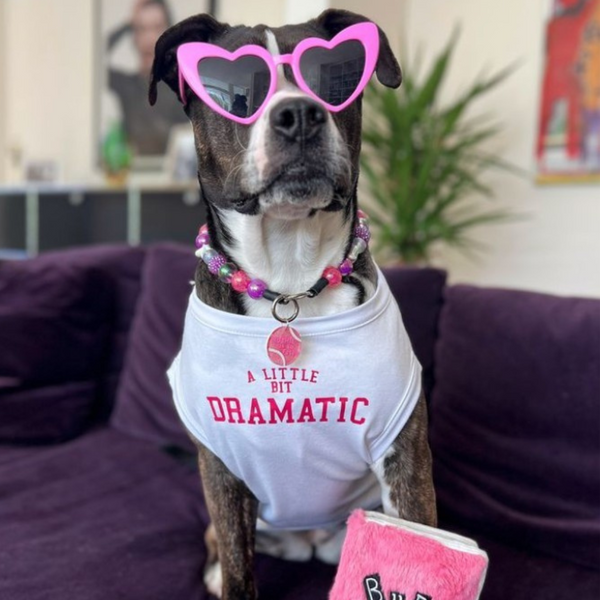 A Little Bit Dramatic Dog Shirt