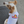 Load image into Gallery viewer, Wonderbread Dog Shirt Parody Pet Shirt Funny Dog Tee