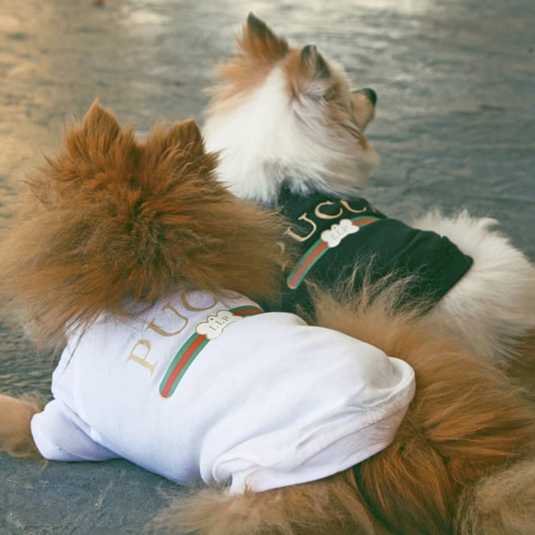 Pucci Designer Dog Shirt