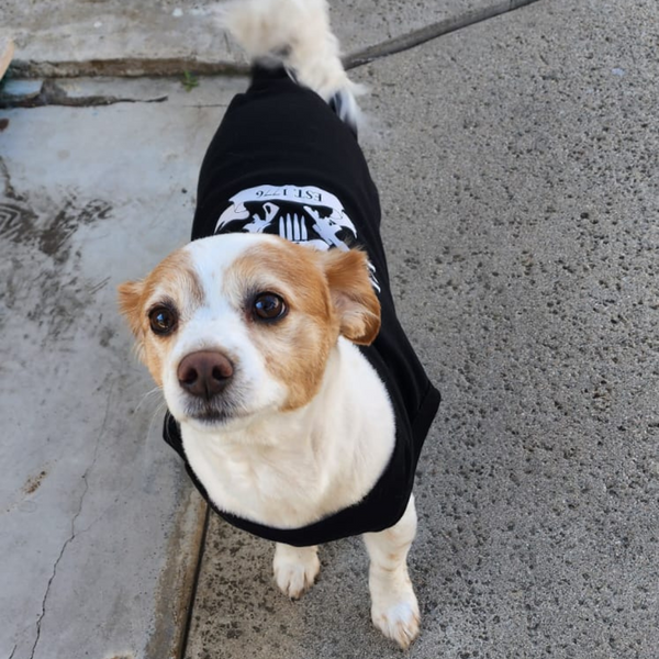 I Plead The Second 2A Punisher Tactical Dog Shirt Dog TShirt