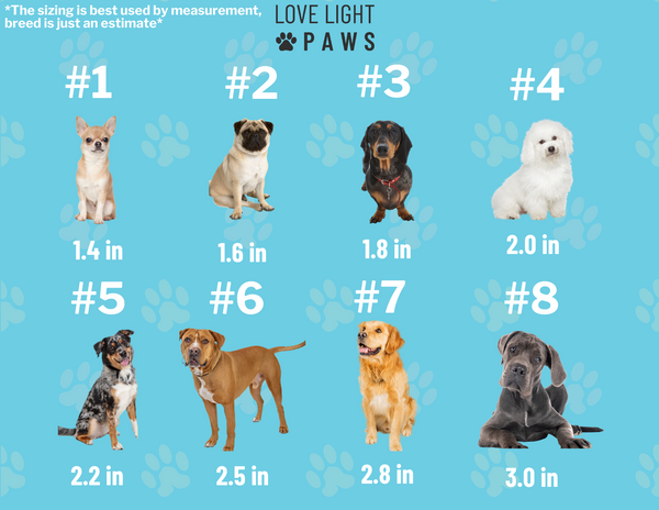 Summer Dog Boots 4pc Dog Shoes