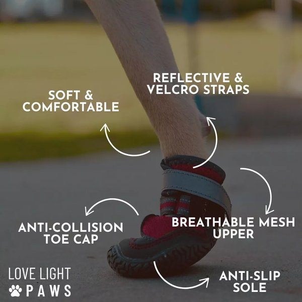 Summer Dog Boots 4pc Dog Shoes