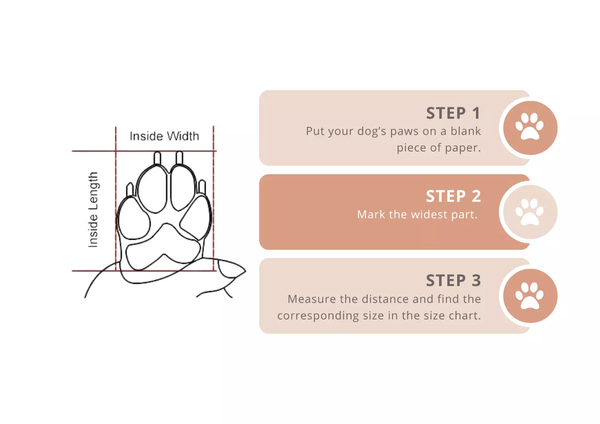 Summer Dog Boots 4pc Dog Shoes