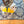 Load image into Gallery viewer, Charlie Brown Dog Shirt