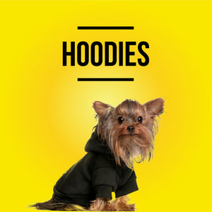 Hoodies