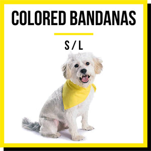 Colored Bandanas