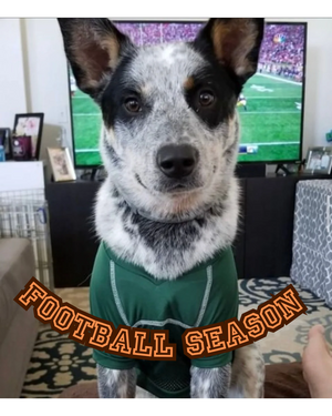 Football Season
