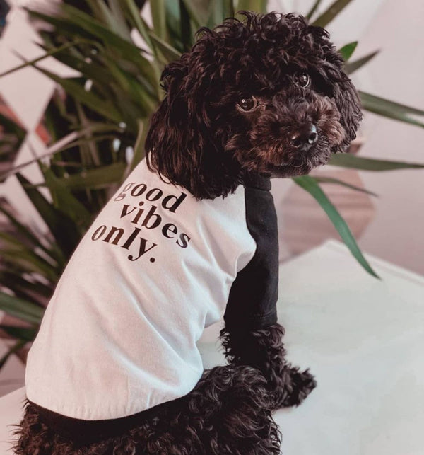 Good Vibes Only Dog Baseball Tee