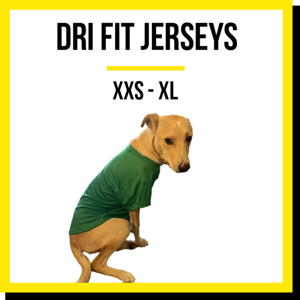 Blank Dri Fit Dog Jerseys (XXS - XL)