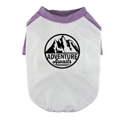 Adventure Awaits Dog Baseball Tee