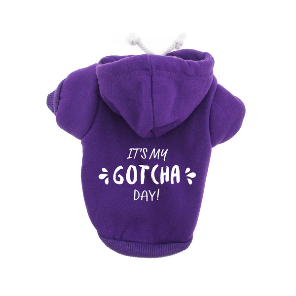 Dog Hoodie Memes and Parody It's My Gotcha Day