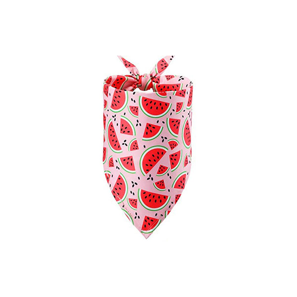 Watermelon Bandana