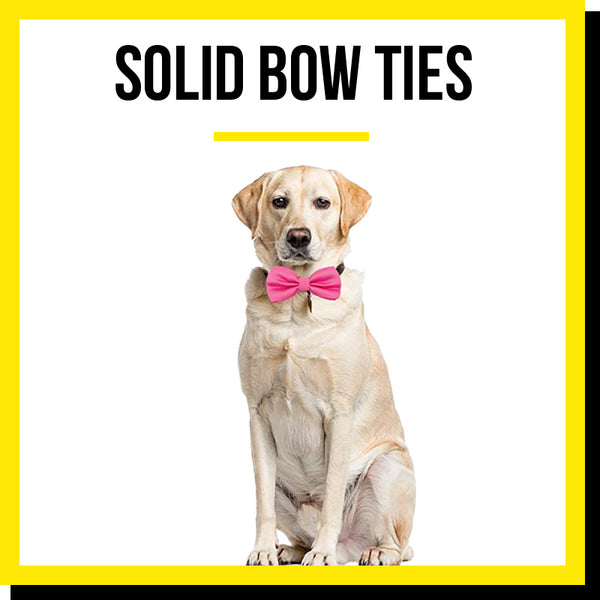 Solid Dog Bow Ties